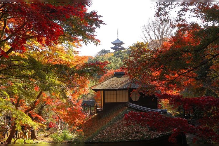 산케이엔 (Sankeien Garden)
