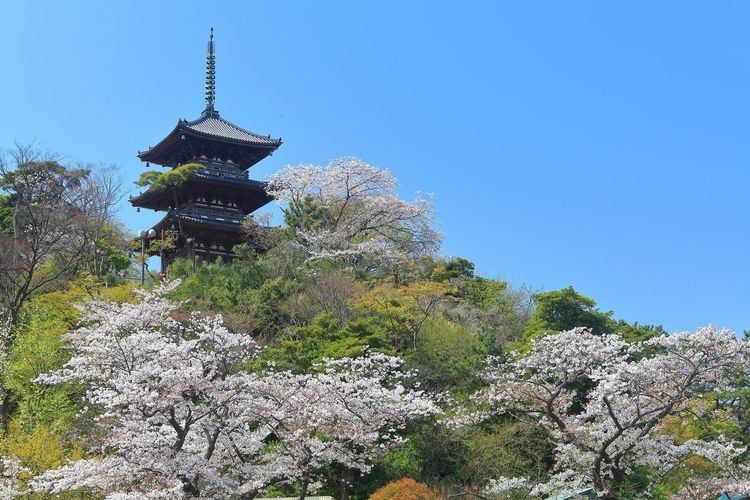 산케이엔 (Sankeien Garden) 6