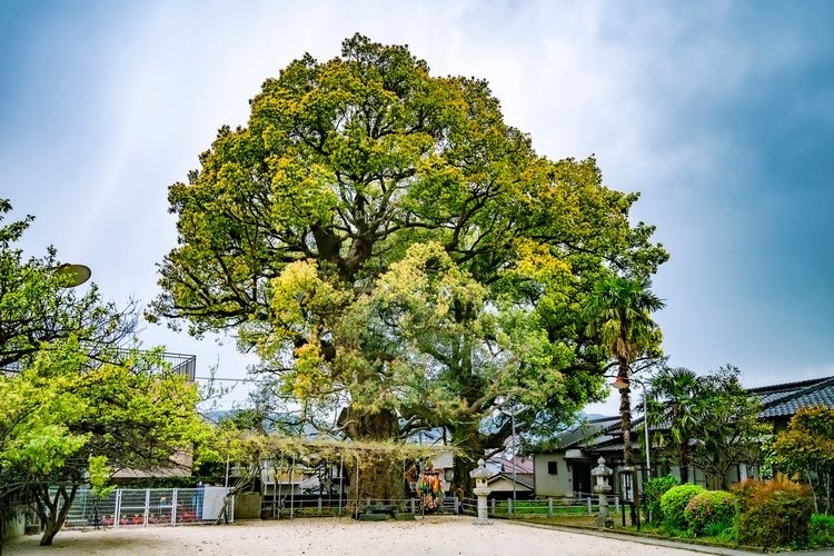山王神社 (浦上皇大神宮)