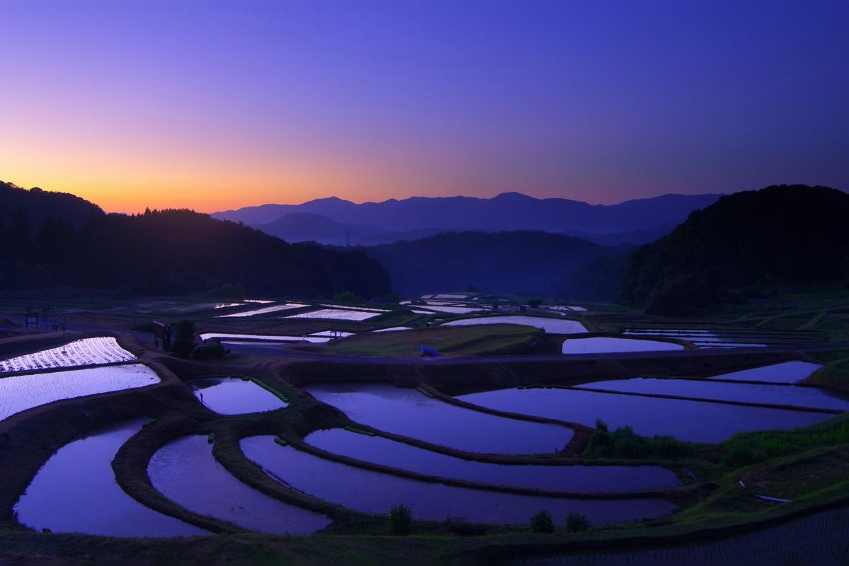 山王寺棚田