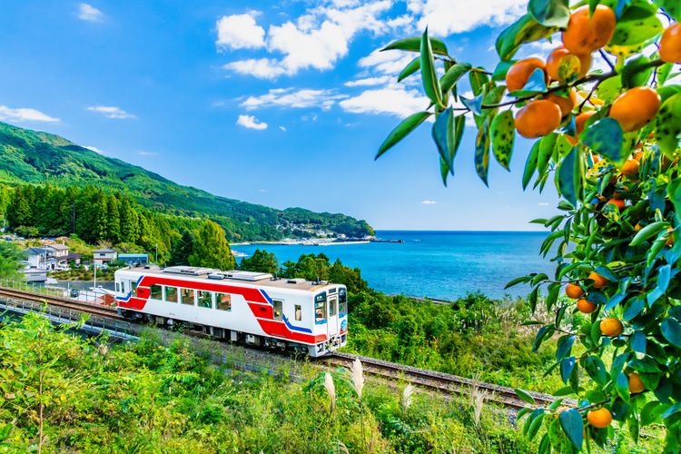 Sanriku Railway (Minami-Riasu Line)