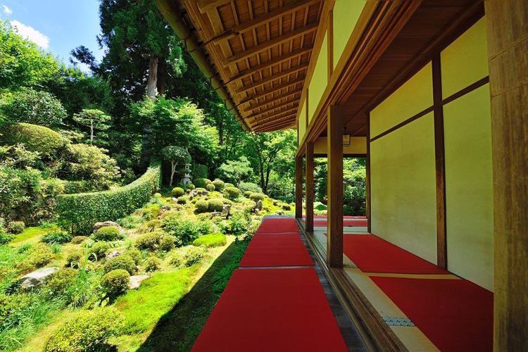 三千院 (Sanzen-in) 4
