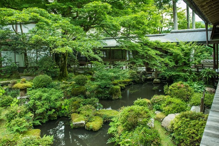 三千院 (Sanzen-in) 6