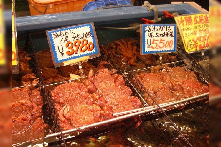 Sapporo Central Wholesale Market 2