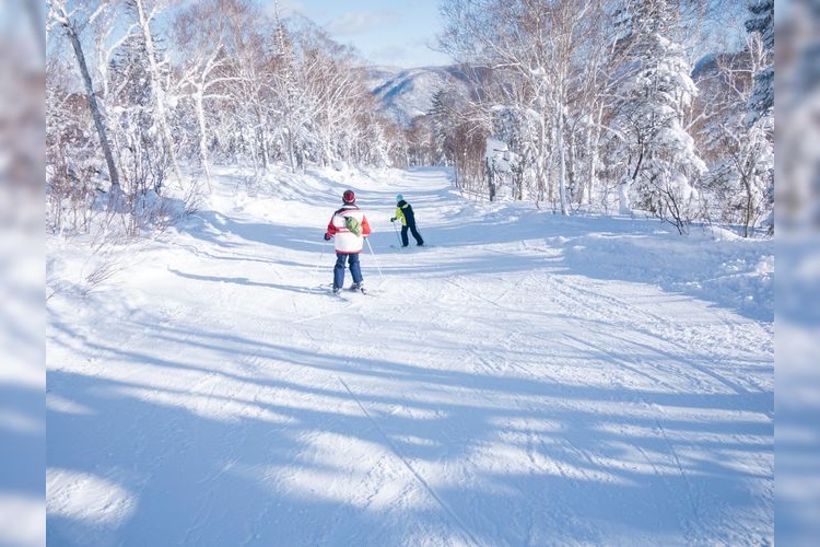 札幌國際滑雪場