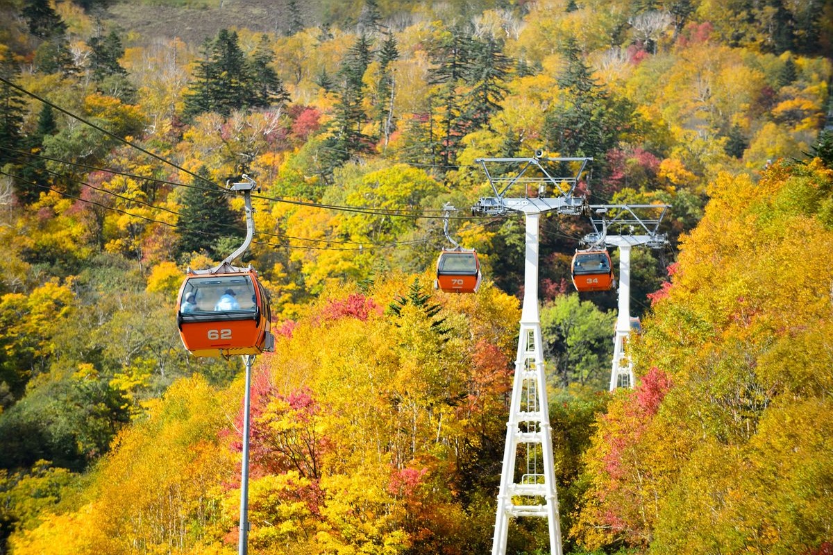 Góndola de Otoño en Sapporo Kokusai Ski Resort
