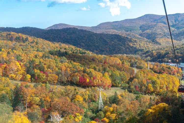 Góndola de Otoño en Sapporo Kokusai Ski Resort