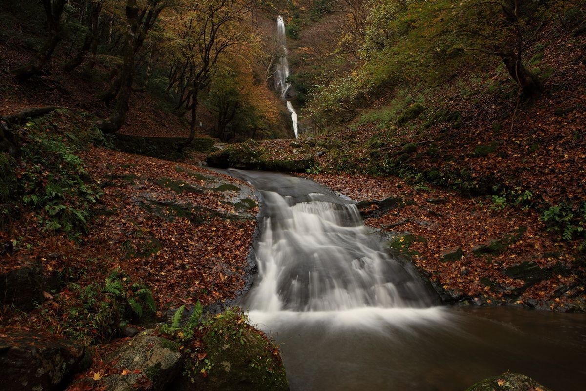 猿尾瀑布 (Sario Falls)