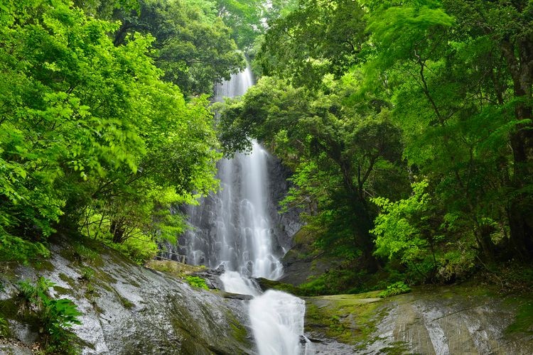 猿尾瀑布 (Sario Falls)