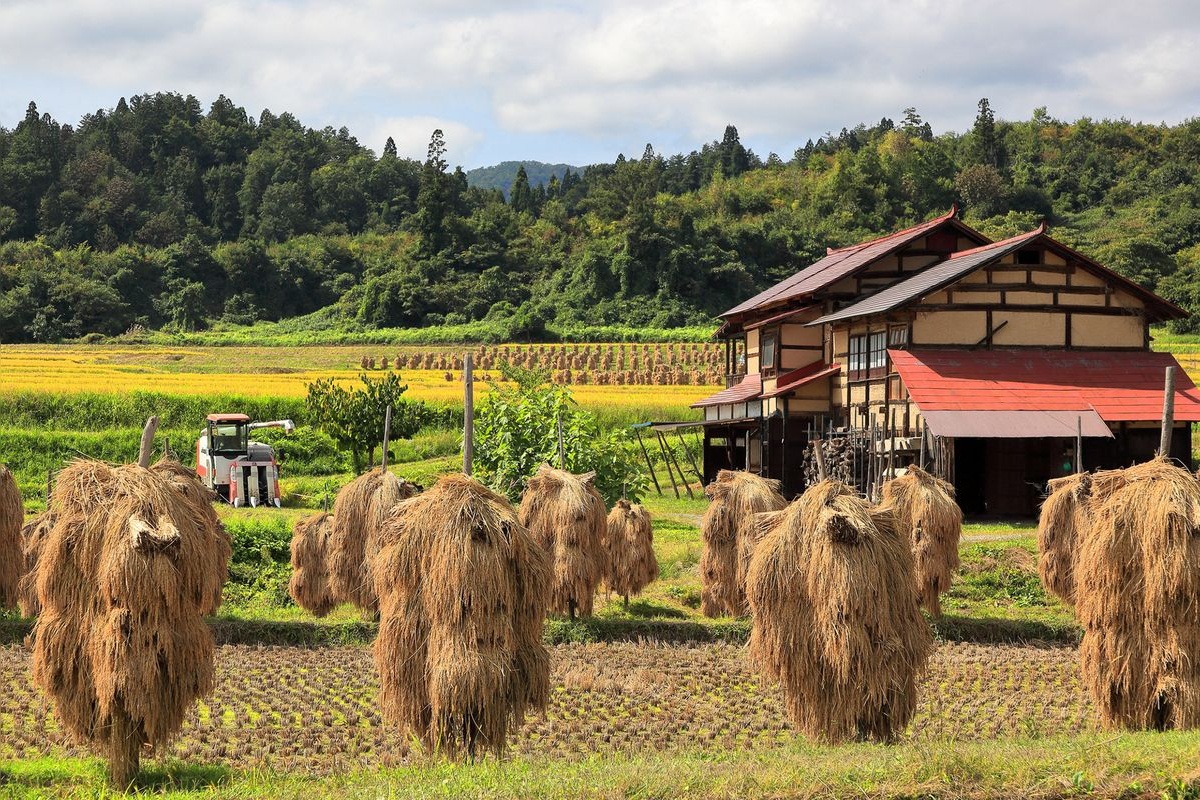 椹平梯田 (Sawahira Tanada)