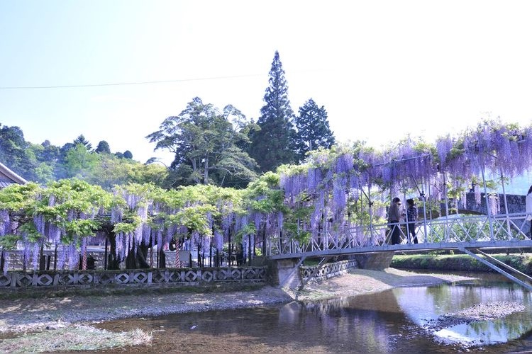 西寒多神社 (Sasamuta Jinja)