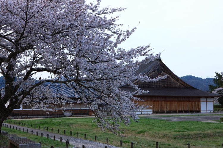 篠山城 大书院