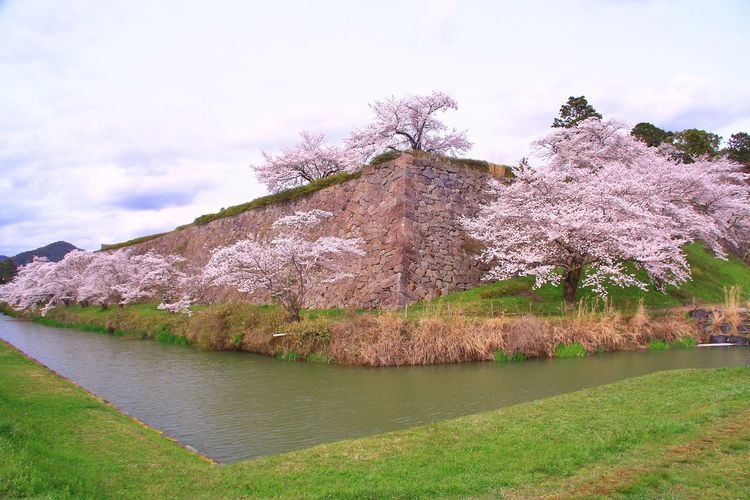 篠山城 (Sasayama Castle)