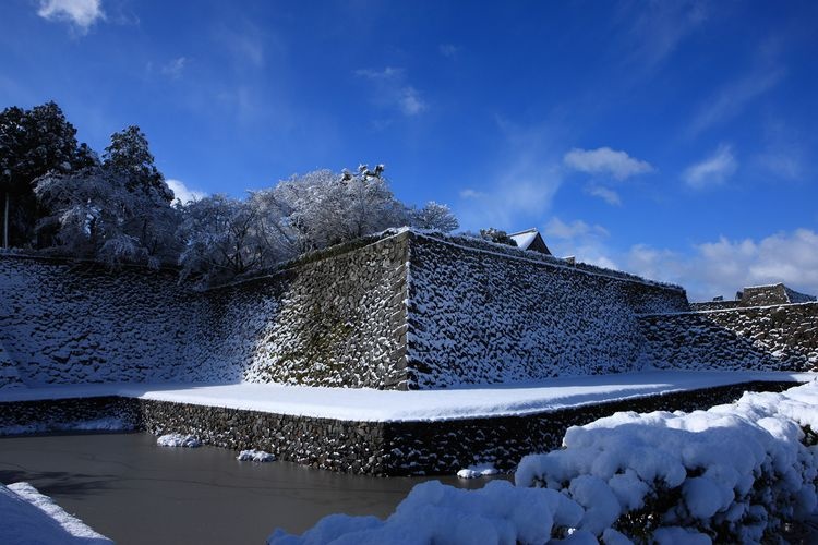 篠山城 (Sasayama Castle) 3