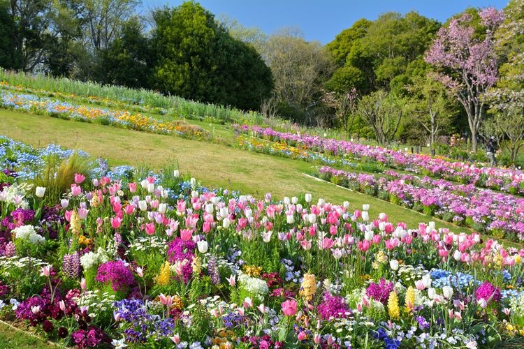 Satoyama Garden 3
