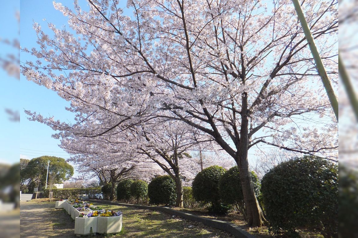 Parque Satsukiyama