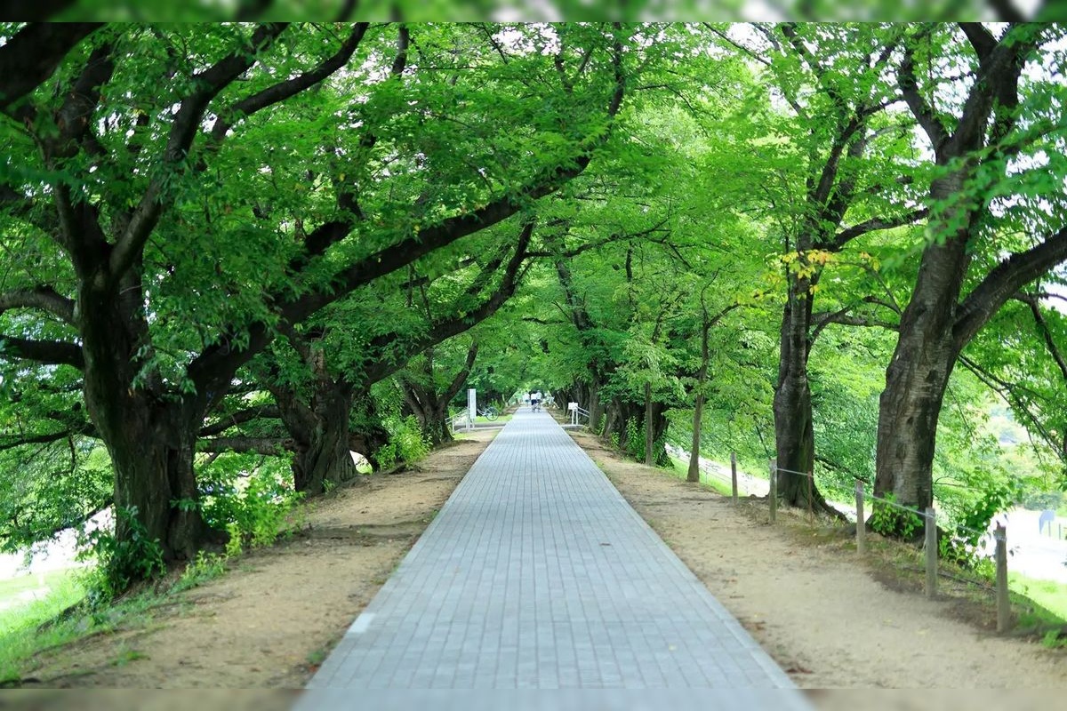 Sewari-tei (Yodogawa Riverside Park Sewari-tei)