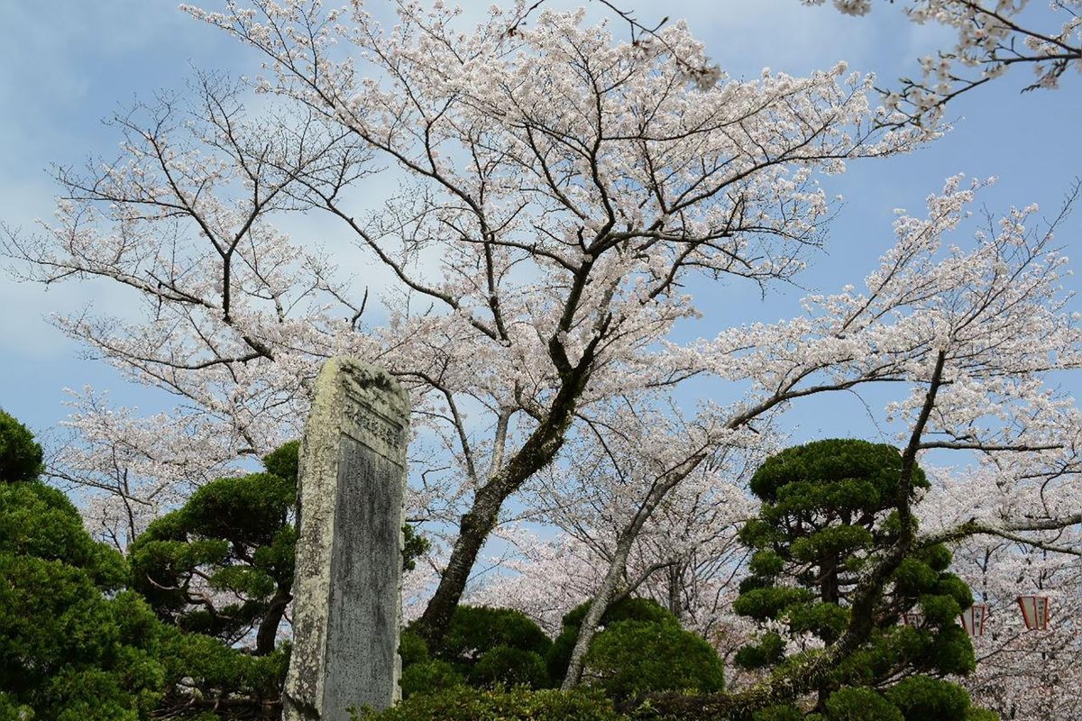 Parque Seibu