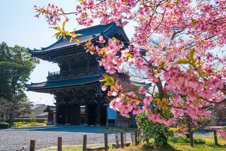 清涼寺(嵯峨釋迦堂) 3