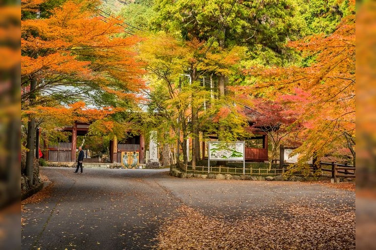 Sekigan-ji 3