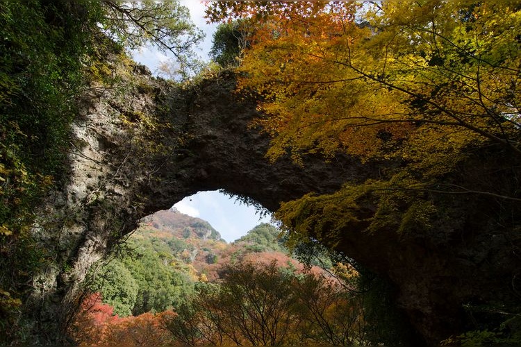Sekimon-do