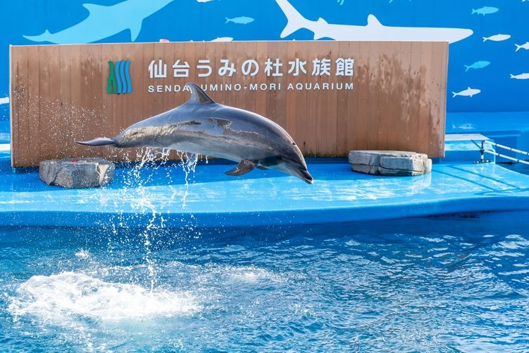 센다이 우미노모리 수족관