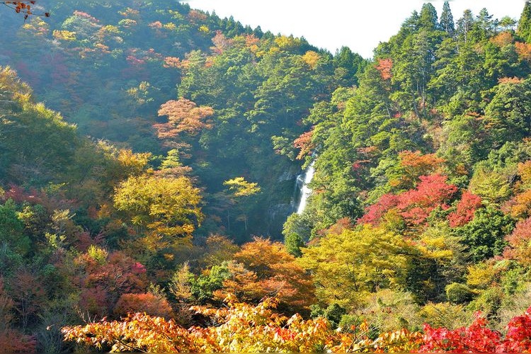 Thác Sendai Todoroki
