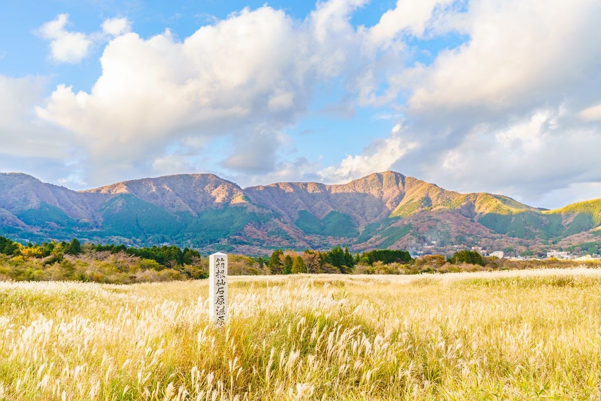 Sengokuhara Susuki Grassland