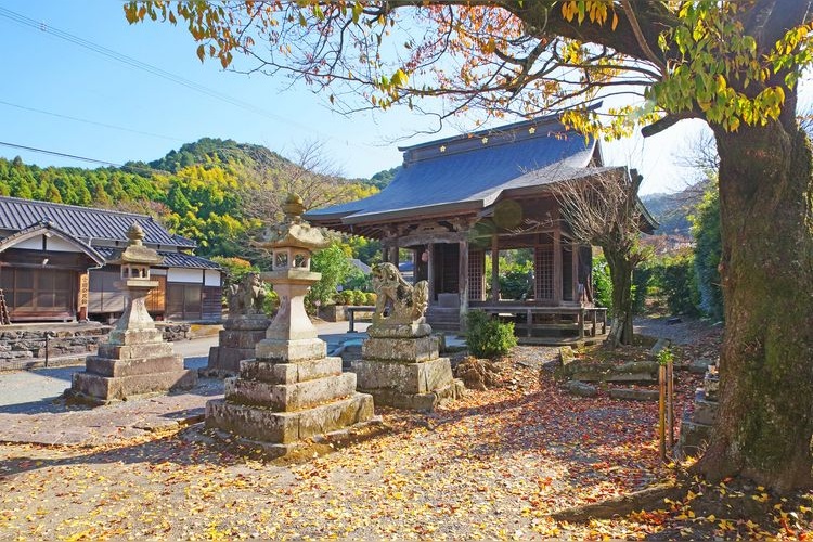 Senko-ji 2