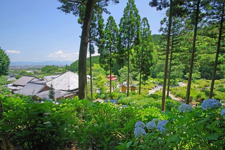 Senko-ji 3