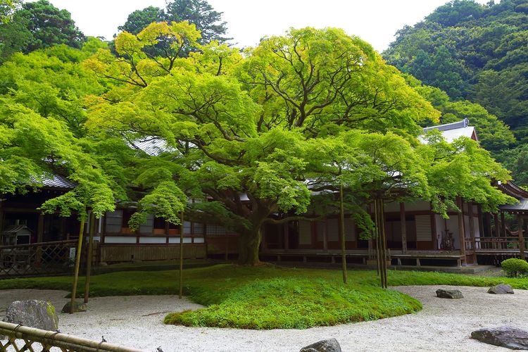 千如寺 3
