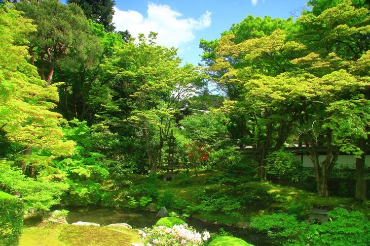 Sennyu-ji 4