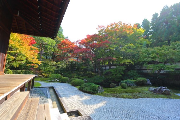 泉涌寺 (Sennyu-ji Temple) 6