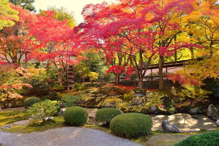 泉涌寺 (Sennyu-ji Temple) 7