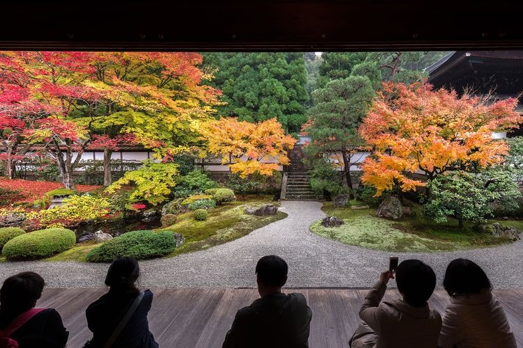 泉涌寺 (Sennyu-ji Temple) 8