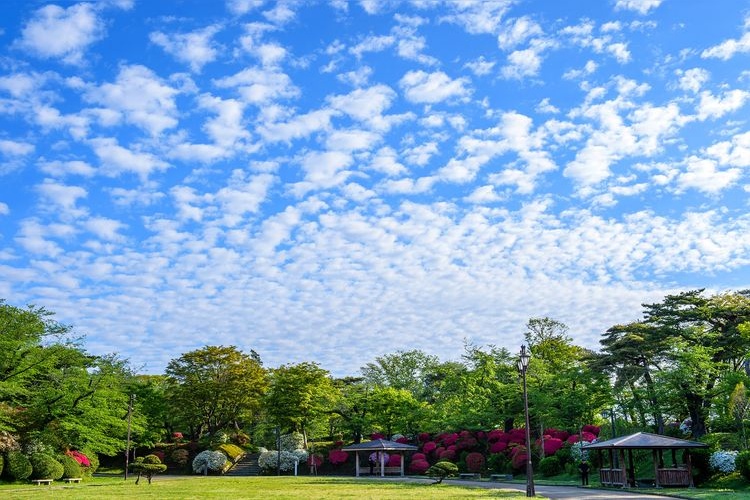 千秋公園（久保田城跡） 4