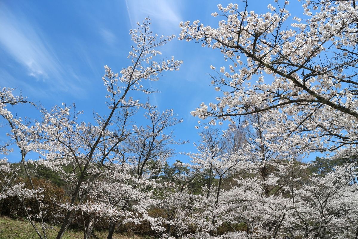Sera Koyama Fureai no Sato