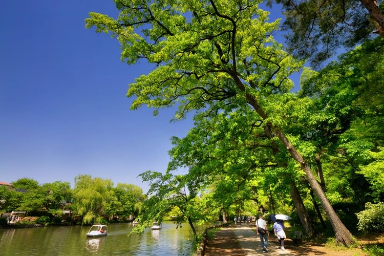 石神井公園 2