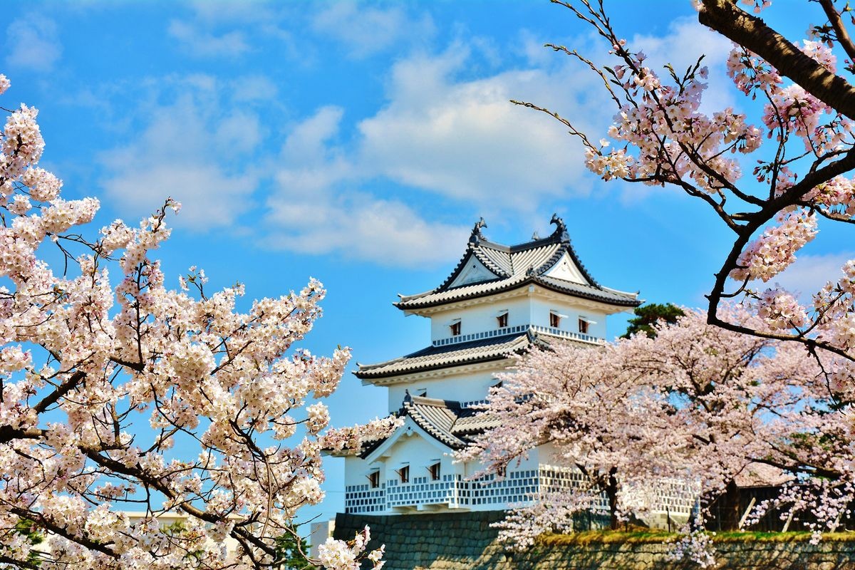 新発田城