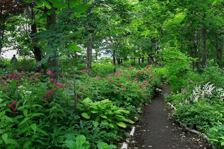 Shichiku Garden 2