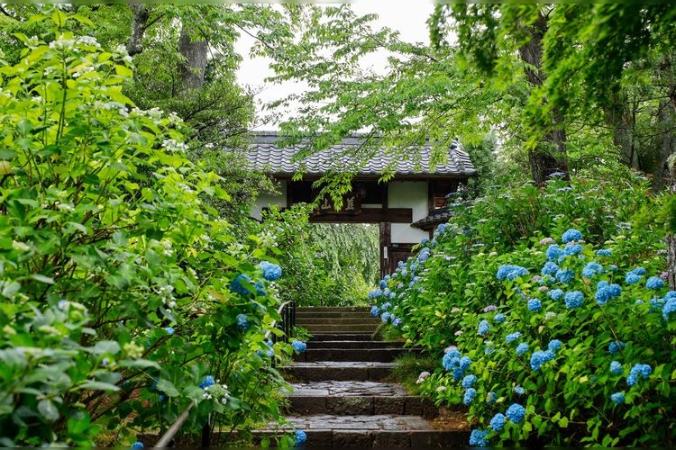 Shifuku-ji 3