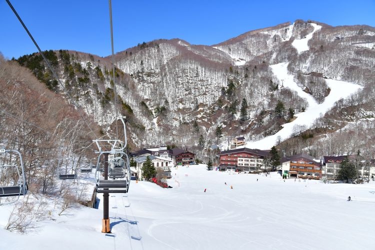 Shiga Kogen Giant Ski Area