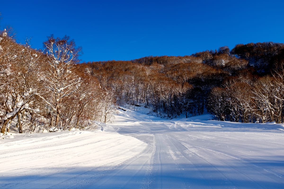 志賀高原 西館山滑雪場