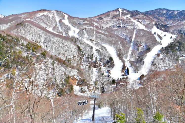 志賀高原 西館山滑雪場