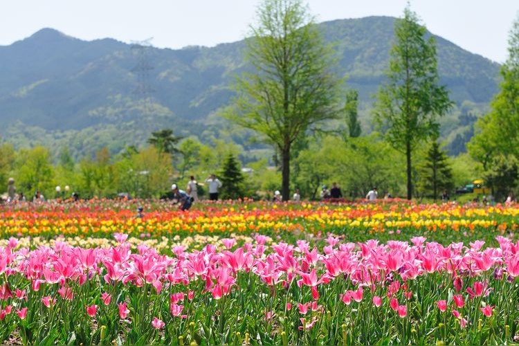Shiga Agriculture Park Blumen no Oka 2
