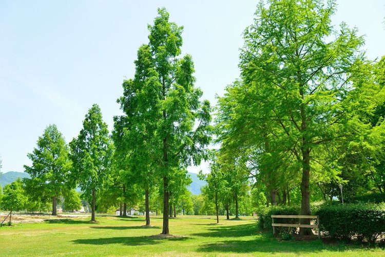 Shiga Agriculture Park Blumen no Oka 3