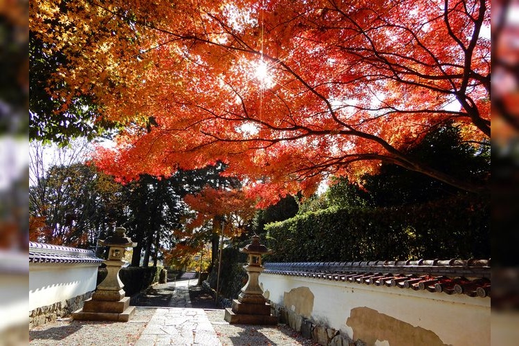 Shiga-in Monzeki 3