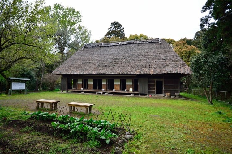 Shiiba Mura Tokonegawa (Preservation District for Groups of Traditional Buildings) 2