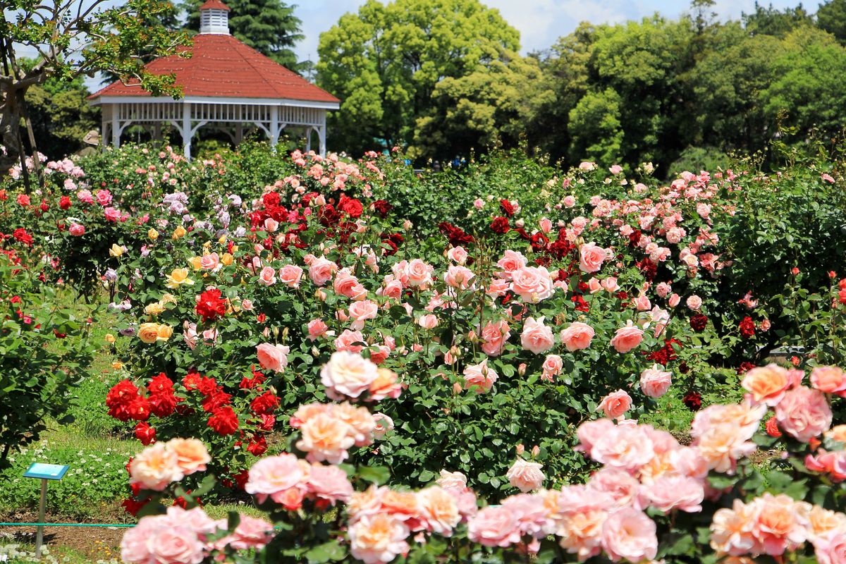 Parc Shikishima