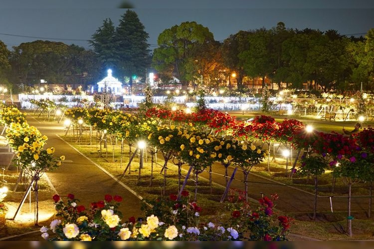 敷島公園 (Shikishima Park) 3